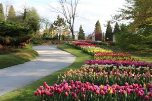 arboretum-2